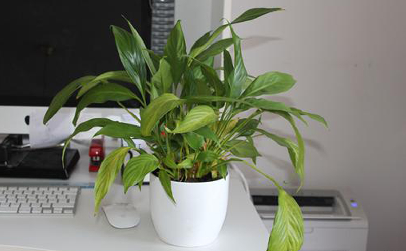 裝修公司 裝修公司